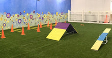 Load image into Gallery viewer, Agility (June 14 - Thursday - 1 Session - 6:30PM)